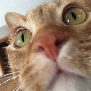 Meet your Posher, Kat